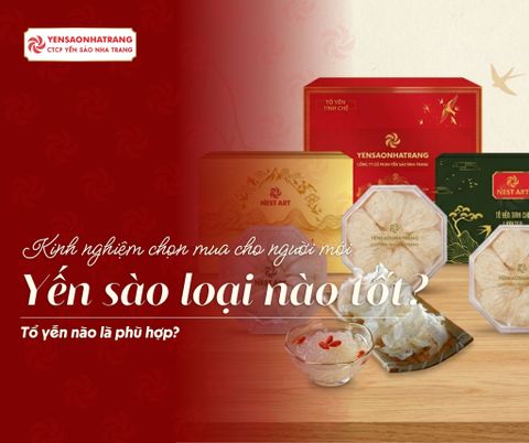 Yến sào loại nào tốt? Kinh nghiệm chọn mua cho người mới