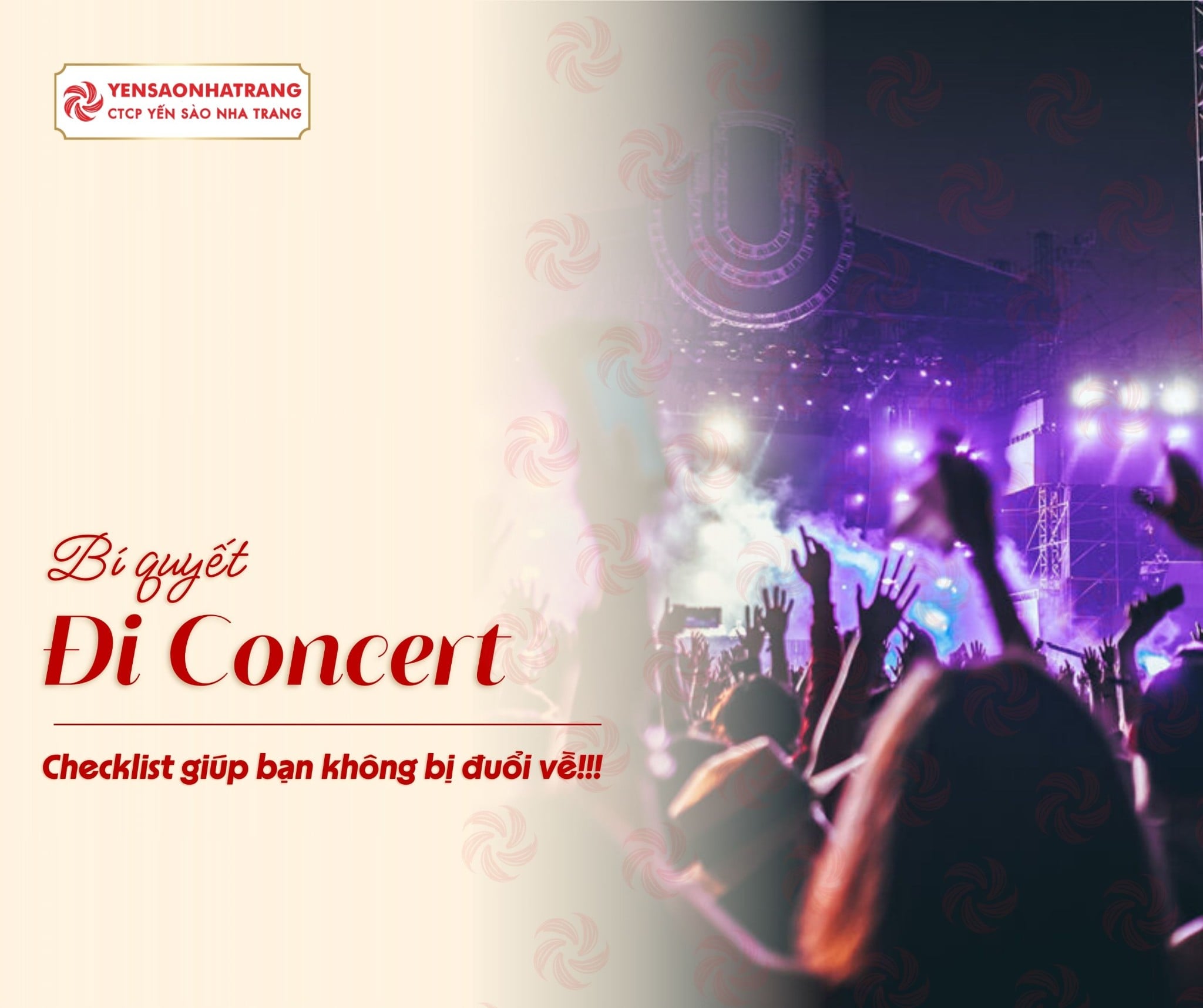 Đi concert cần mang gì? Checklist đầy đủ giúp bạn không bị “đuổi” về