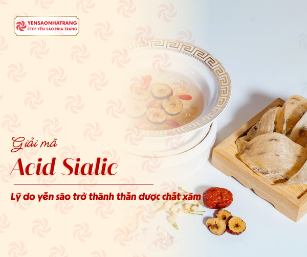 Giải mã Acid Sialic - Lý do khiến yến sào trở thành thần dược chất xám