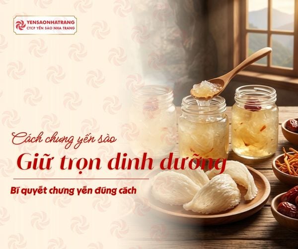Cách chưng yến sào không bị mất chất: Bí quyết giữ trọn dinh dưỡng
