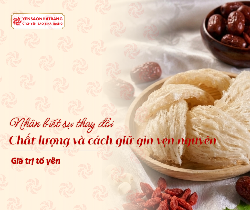 Nhận biết sự thay đổi chất lượng và cách giữ gìn vẹn nguyên giá trị tổ yến