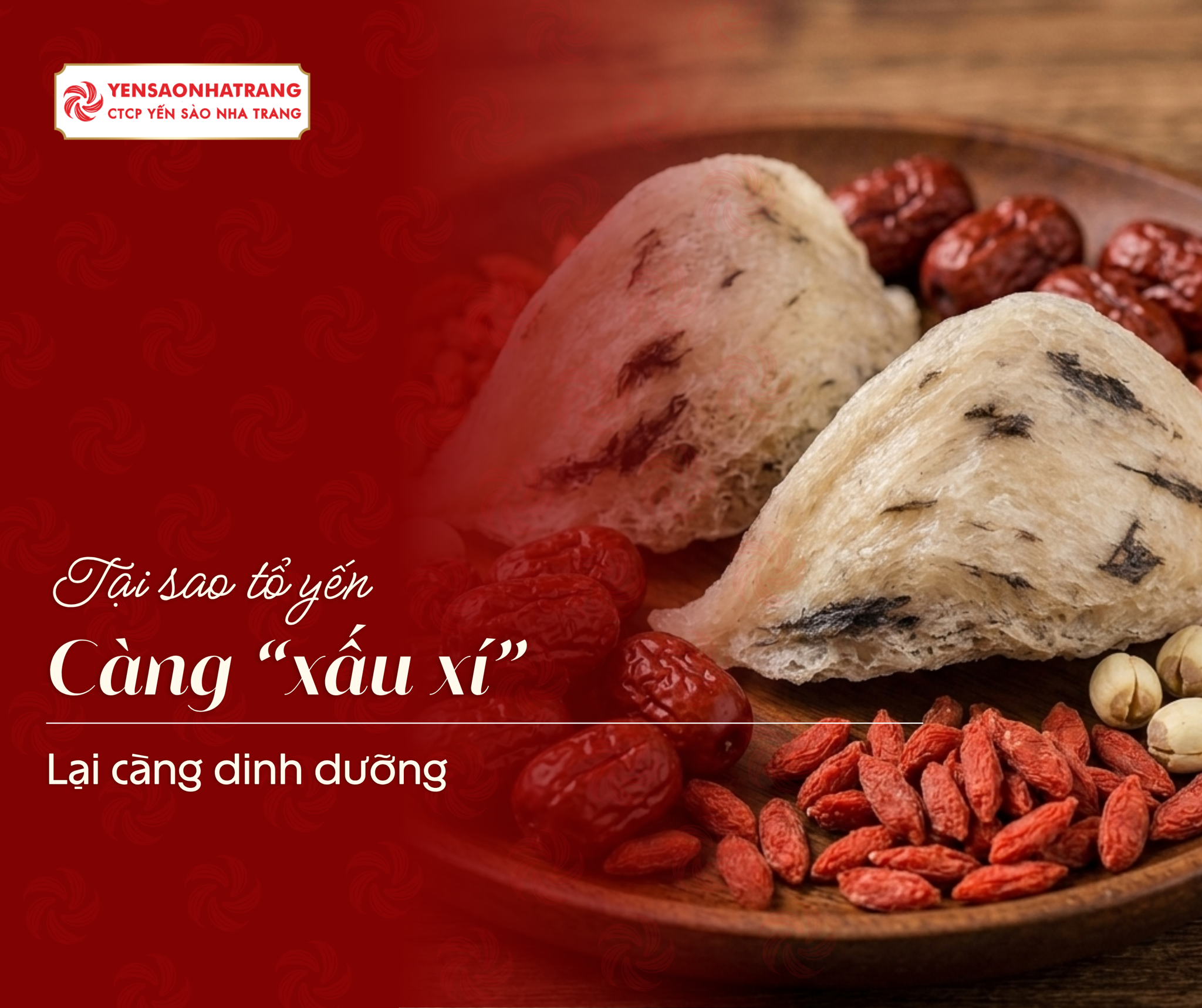 Tại sao tổ yến càng 