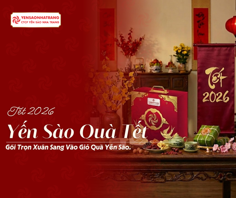 Vì Sao Yến Sào Luôn Xuất Hiện Trong Mâm Quà Tết Của Người Việt?