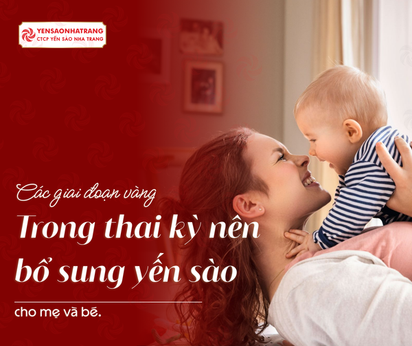 Các giai đoạn vàng trong thai kỳ nên bổ sung yến sào cho mẹ và bé