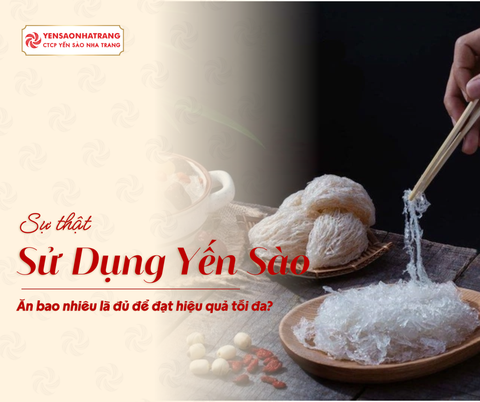 Ăn yến càng nhiều càng bổ? Sự thật về liều lượng và tần suất sử dụng hợp lý