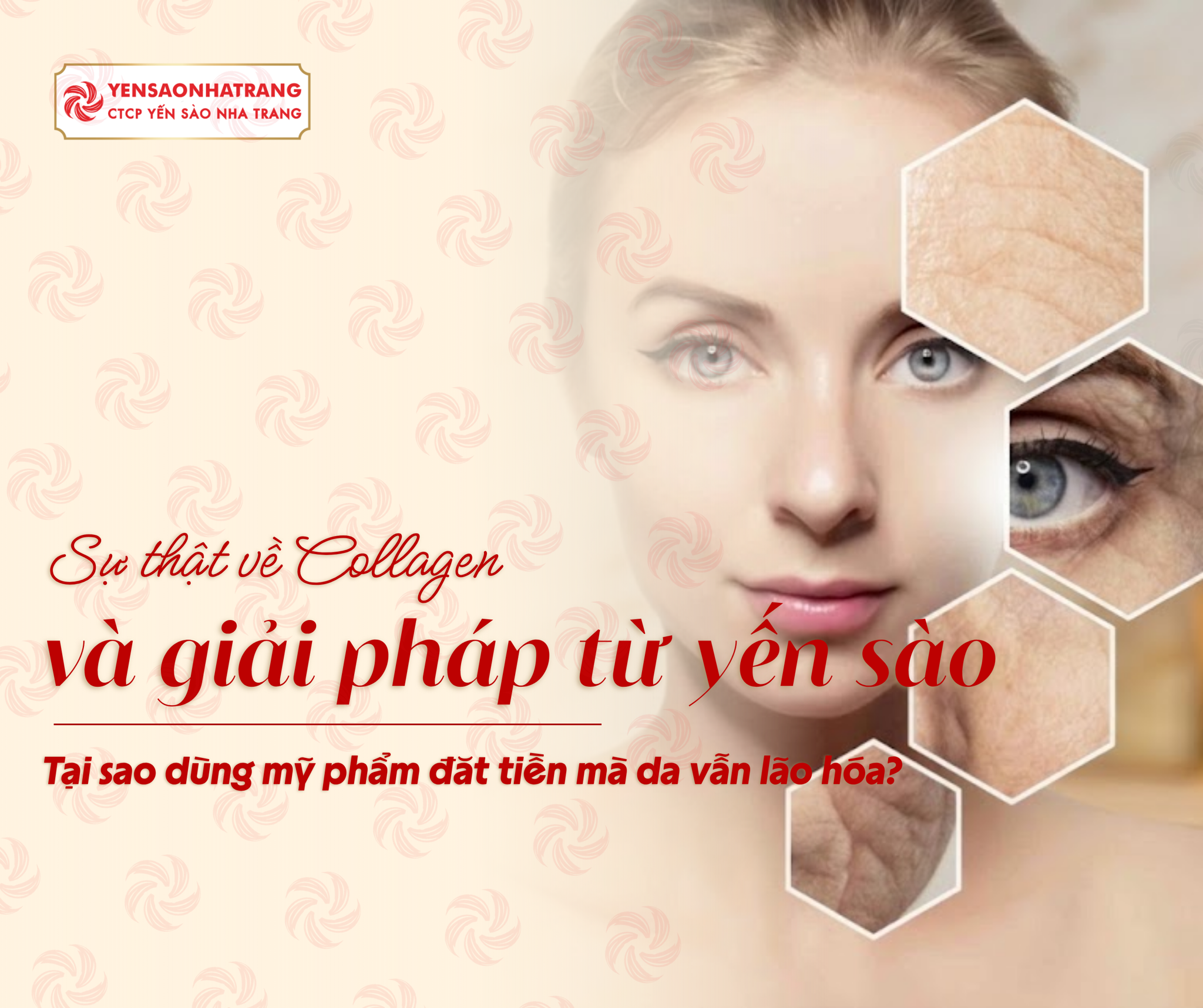 Tại sao dùng mỹ phẩm đắt tiền mà da vẫn lão hóa? Sự thật về collagen và giải pháp từ yến sào