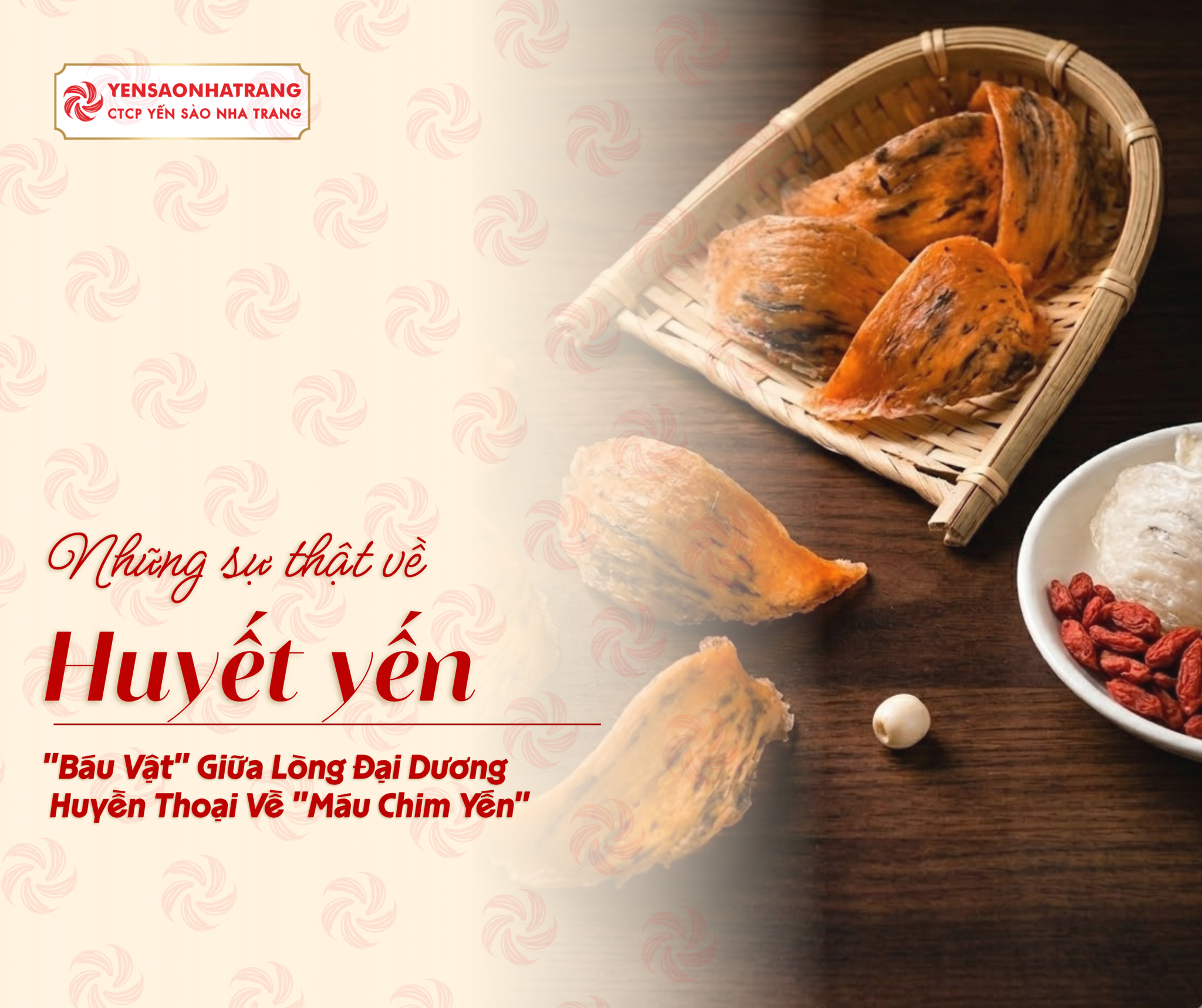 Giải Mã Yến Huyết: 