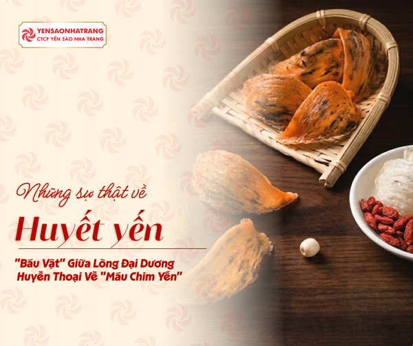 Giải Mã Yến Huyết: 
