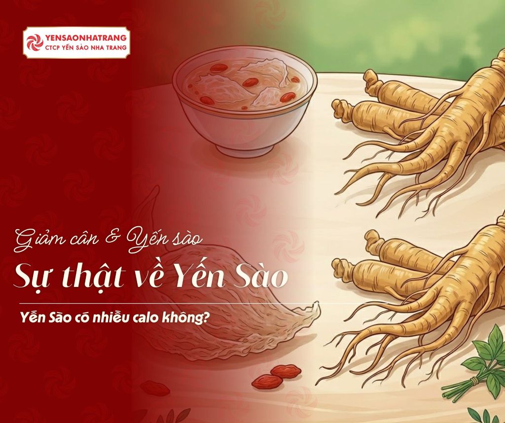 Yến sào và nhân sâm: Cái nào tốt hơn cho sức khỏe?