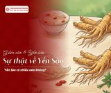 Yến sào và nhân sâm: Cái nào tốt hơn cho sức khỏe?