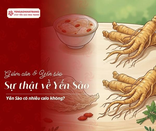 Yến sào và nhân sâm: Cái nào tốt hơn cho sức khỏe?
