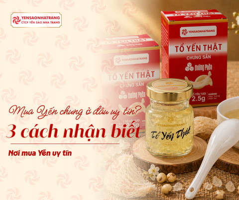 Mua Yến Chưng ở đâu uy tín? 3 Cách nhận biết tránh mất tiền oan