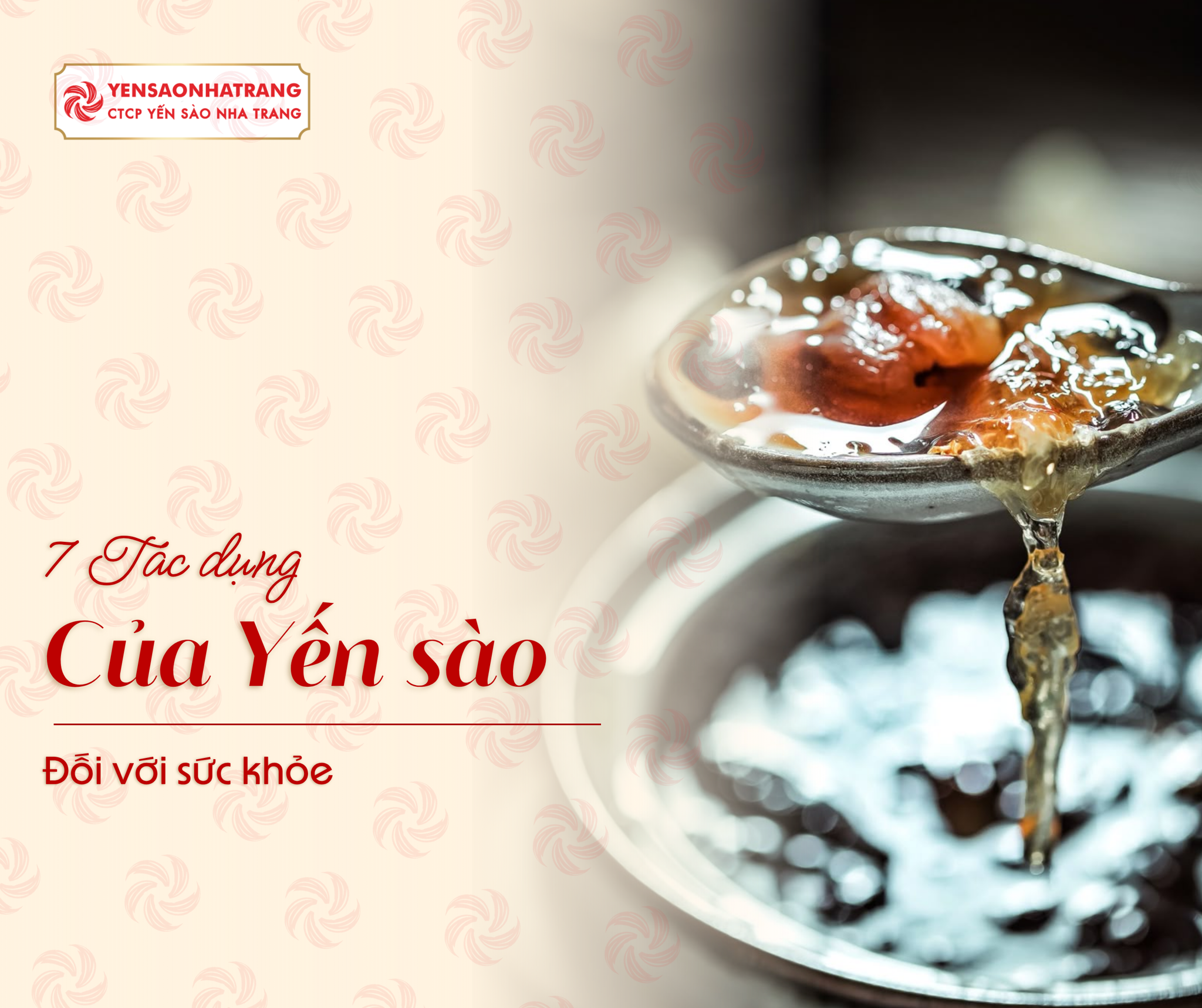 7 Tác Dụng Của Yến Sào Đối Với Sức Khỏe