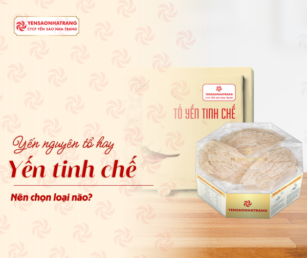 Yến nguyên tổ hay yến tinh chế? Nên chọn loại nào