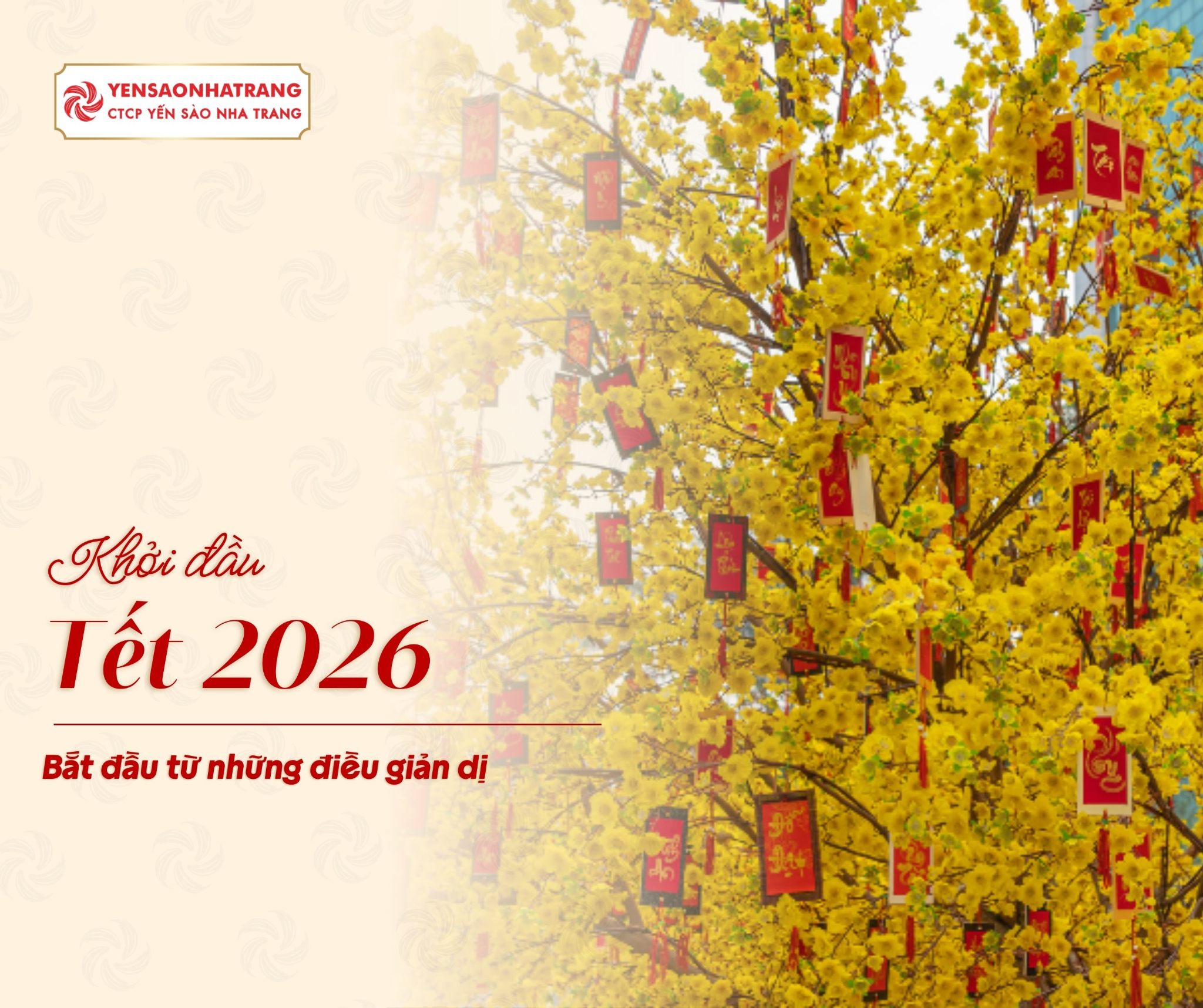 Tết An Lành Bắt Đầu Từ Những Điều Giản Dị