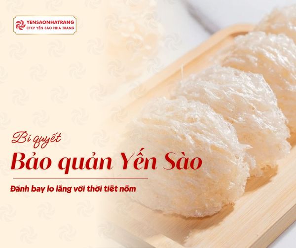 Top các bí quyết bảo quản Tổ Yến dịp Tết nồm ẩm