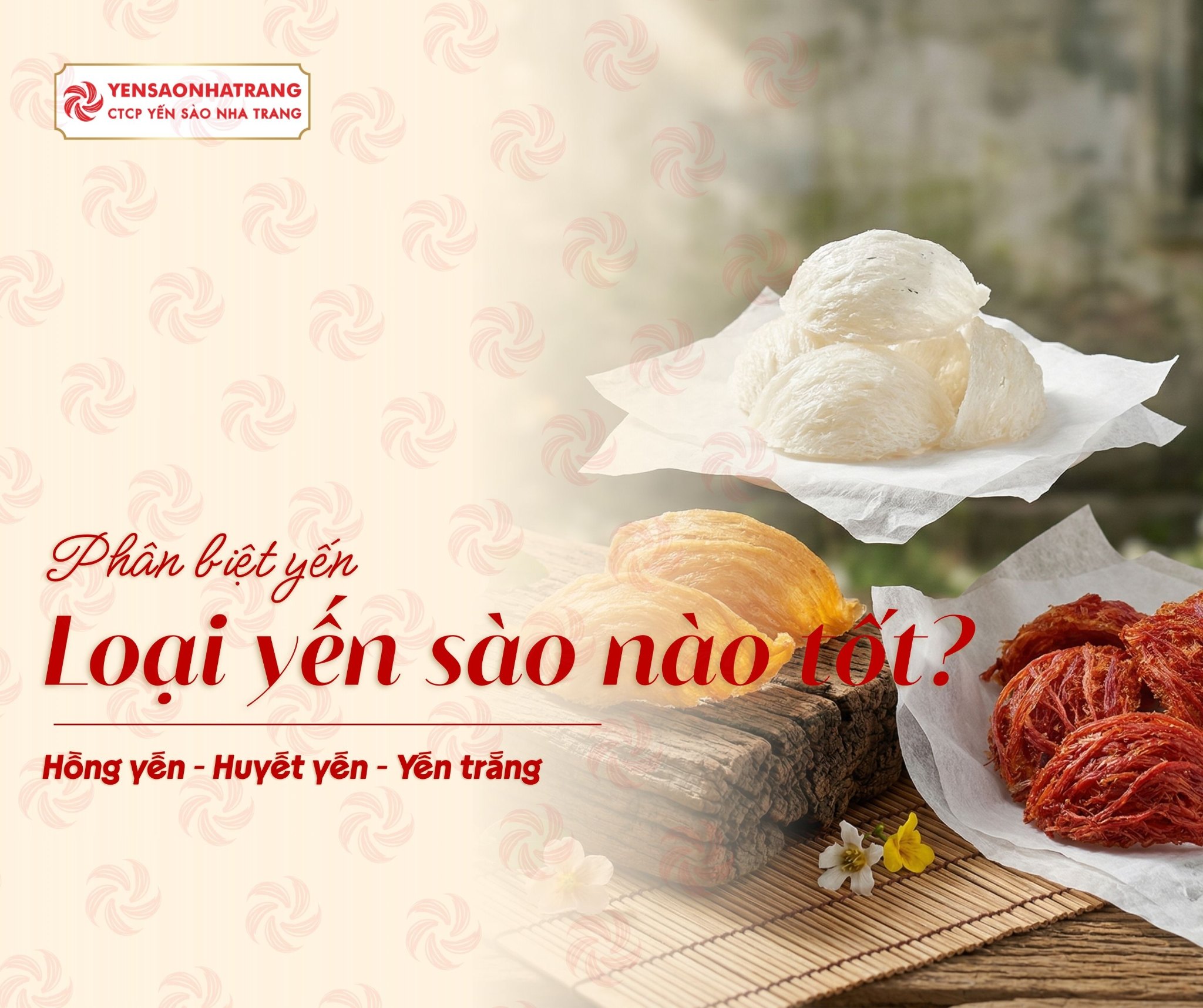 Phân biệt các loại Yến Huyết, Hồng Yến và Yến Trắng: Loại nào tốt nhất?