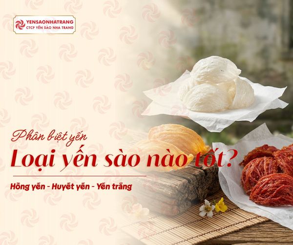 Phân biệt các loại Yến Huyết, Hồng Yến và Yến Trắng: Loại nào tốt nhất?