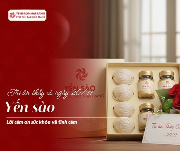 Yến sào – Món quà tri ân ý nghĩa dành tặng thầy cô ngày 20/11
