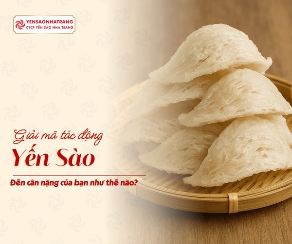 Ăn Yến Sào Có Ảnh Hưởng Đến Cân Nặng Không?
