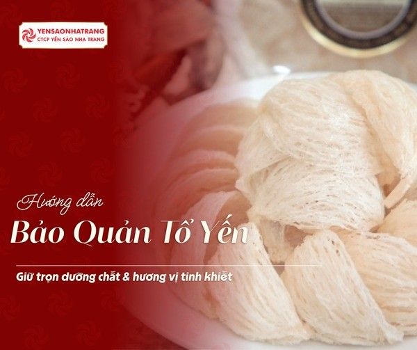 Hướng Dẫn Bảo Quản Tổ Yến Đúng Cách