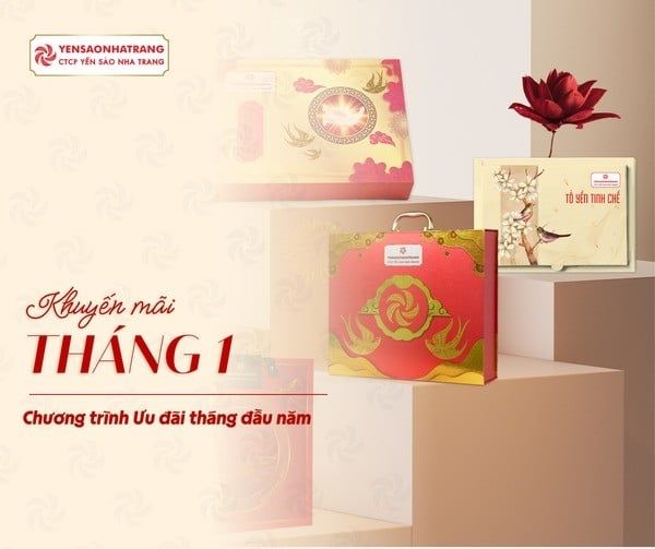 🧧 Đón Năm Mới Rạng Rỡ - Ưu Đãi Yến Sào 