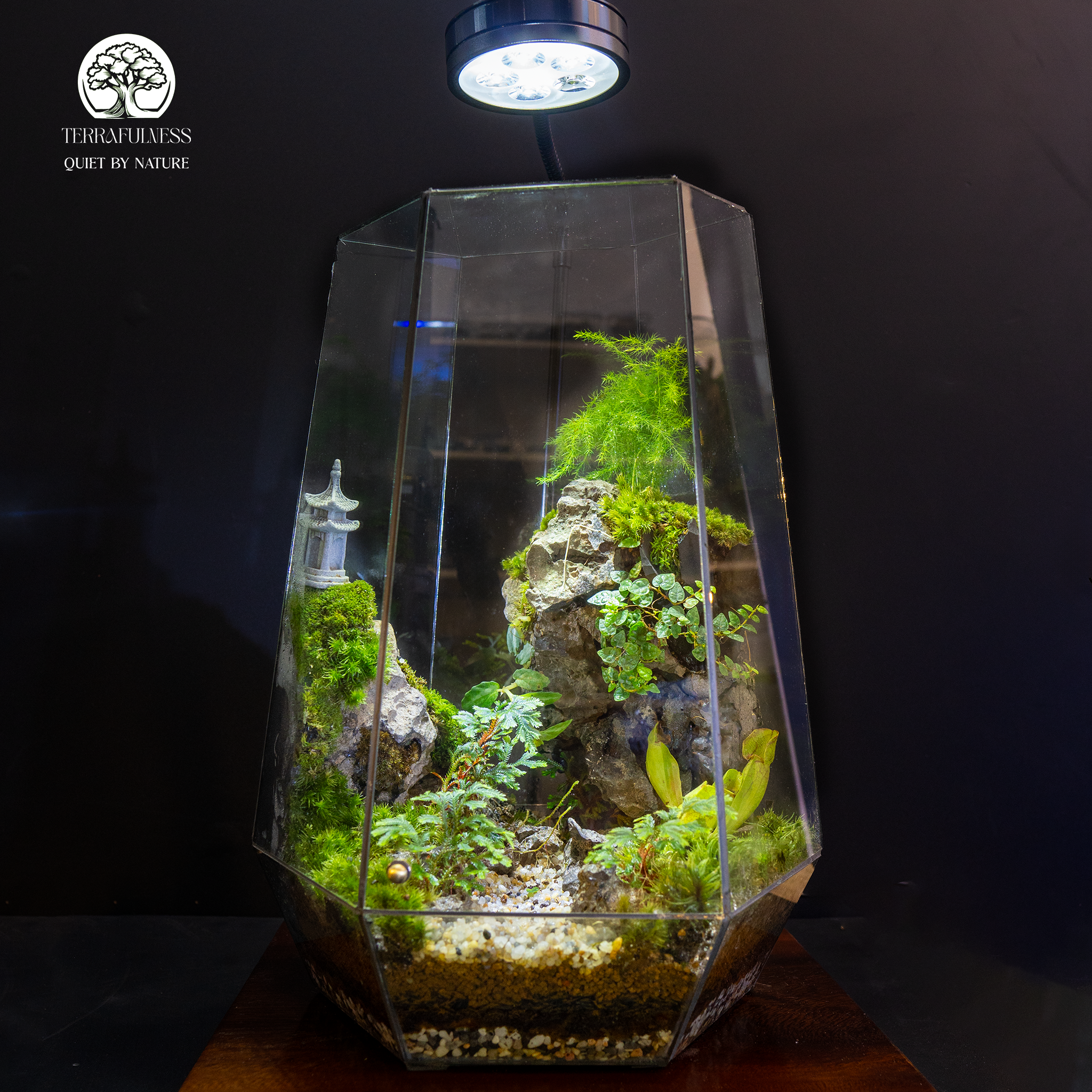Terrarium | Chiến Lược Quà Tặng Sống Nâng Tầm Giá Trị Thương Hiệu