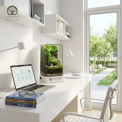 Terrarium Mini Để Bàn Làm Việc Cho Người Mới – Nhỏ Gọn Và Bình Yên