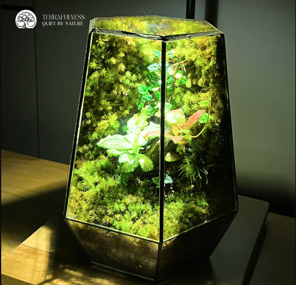 Terrarium Sinh Nhật | Món Quà Nhỏ Xanh Nhưng Đậm Chất Tình Yêu Thương
