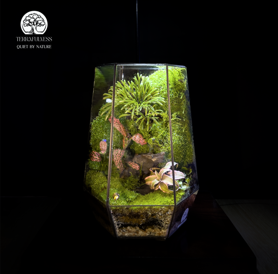 Gợi Ý Mẫu Terrarium Cho Sinh Nhật Bạn Gái: Món Quà Sống Tinh Tế Và Ý Nghĩa