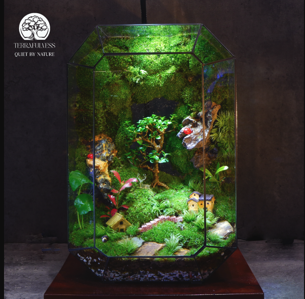Tặng Terrarium Sinh Nhật Cho Người Yêu | Lặng Lẽ Nhưng Đầy Yêu Thương Vững Bền