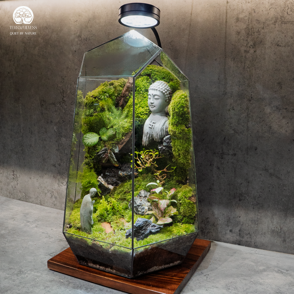 Terrarium Chữa Lành: Giải Pháp Giảm Stress Nơi Công Sở Terrafulness