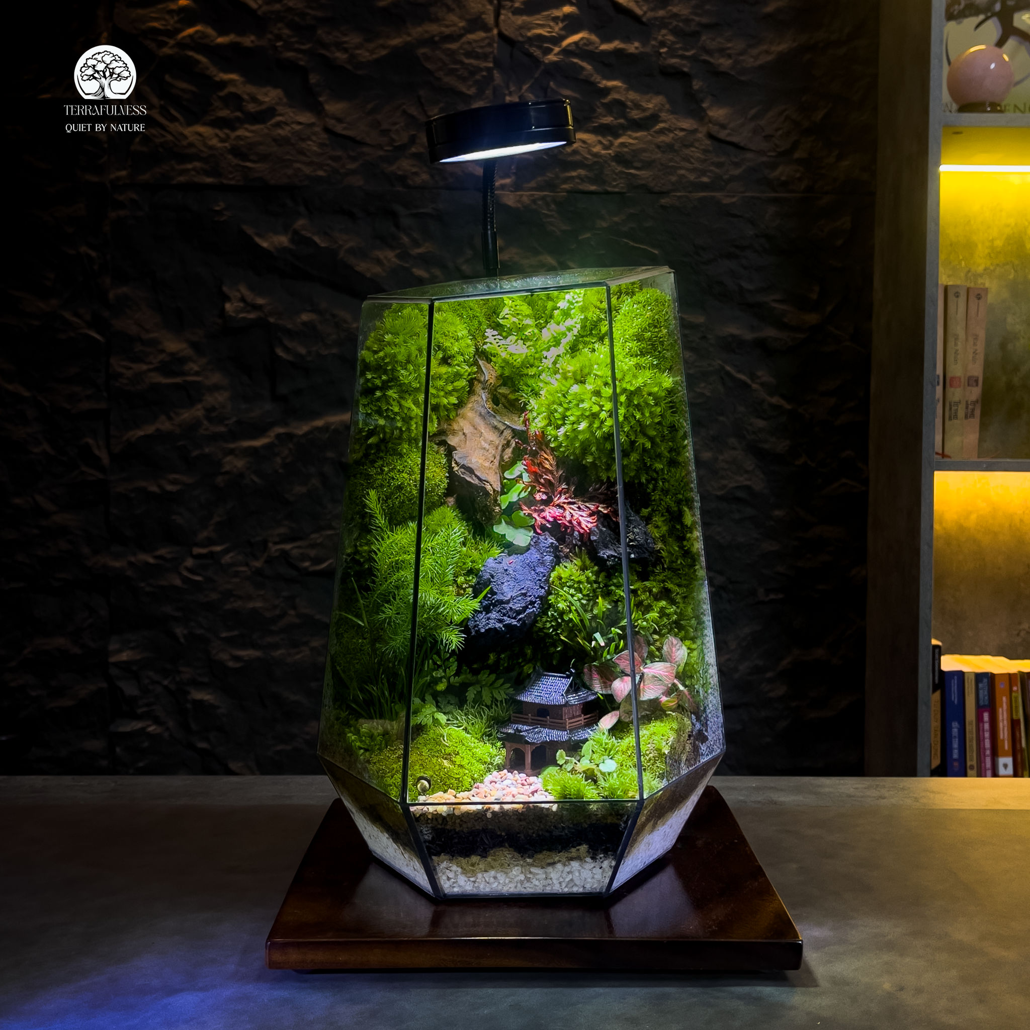 Quà Tặng Cho Người Không Thiếu Thứ Gì: Tại Sao Terrarium Lên Ngôi?