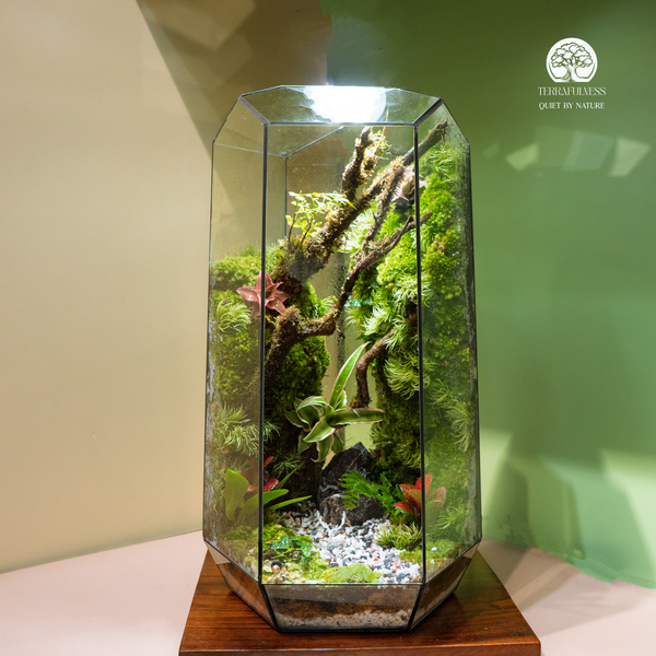 Nghệ Thuật Chọn Quà Tặng Sếp Nam: Tại Sao Terrarium Là Lựa Chọn Số 1?