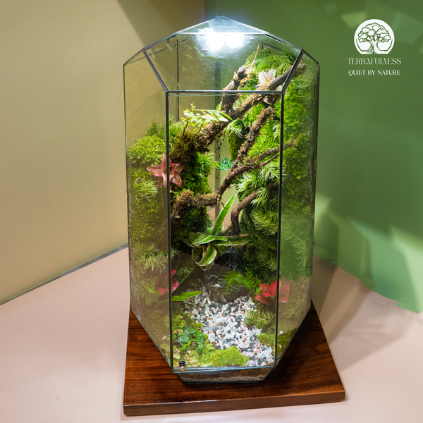 Terrarium Trên Bàn Làm Việc: Biểu Tượng Của Sự Tĩnh Tại Và Tầm Vóc Lãnh Đạo
