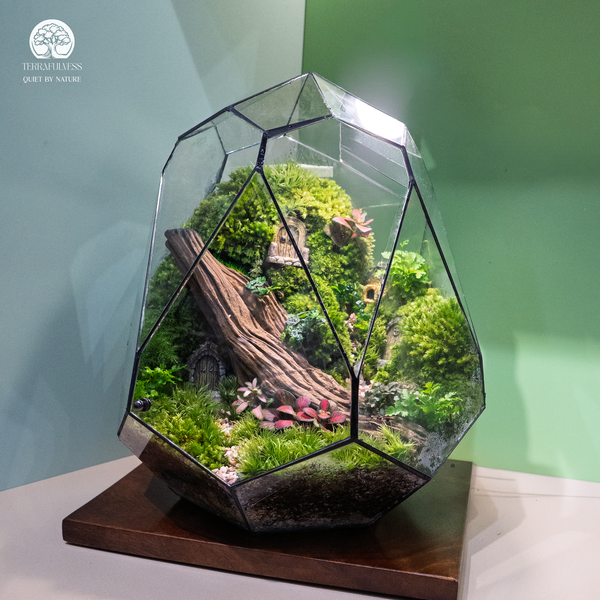 Terrarium: Xu Hướng Decor Rừng Trong Nhà Độc Đáo | Terrafulness