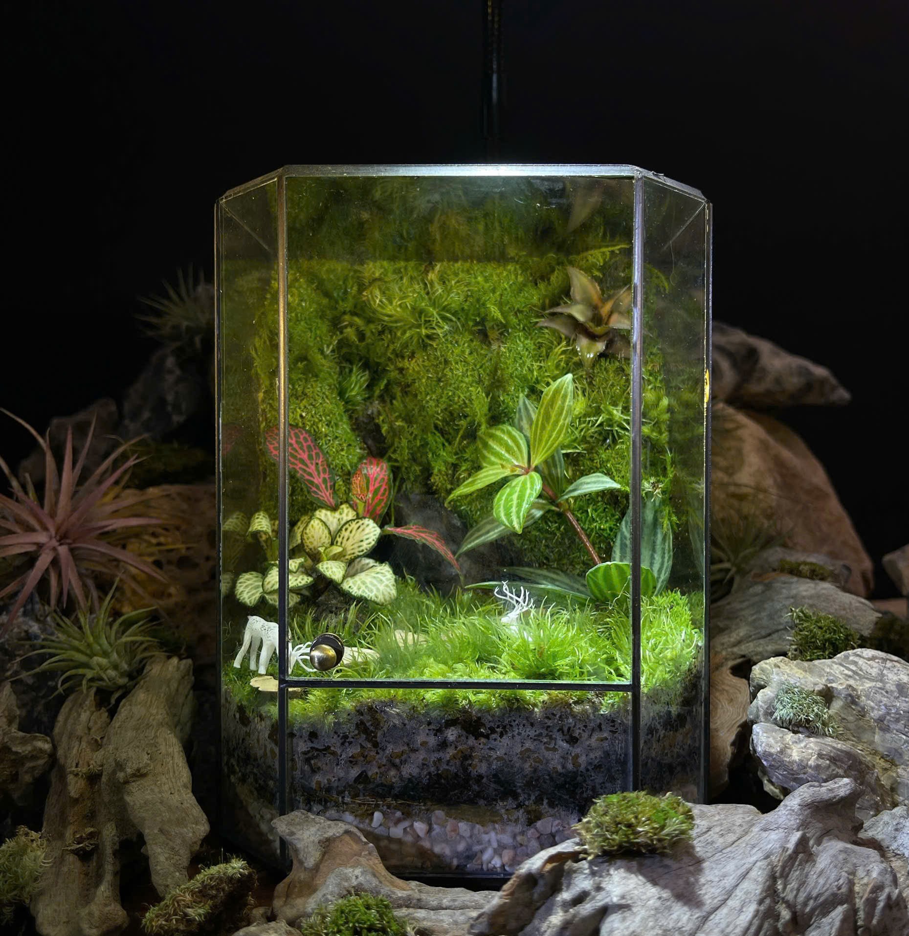 Tại Sao Terrarium Là Gương Mặt Vàng Cho Quà Tặng Tri Ân Doanh Nghiệp?