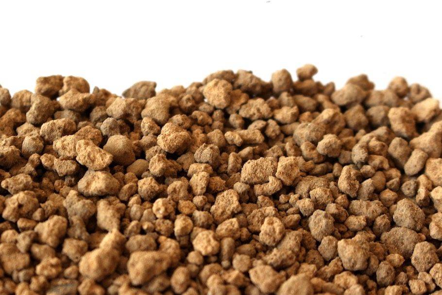 Đất Akadama | Công Dụng và Cách Dùng Chuẩn Nhật Cho Terrarium