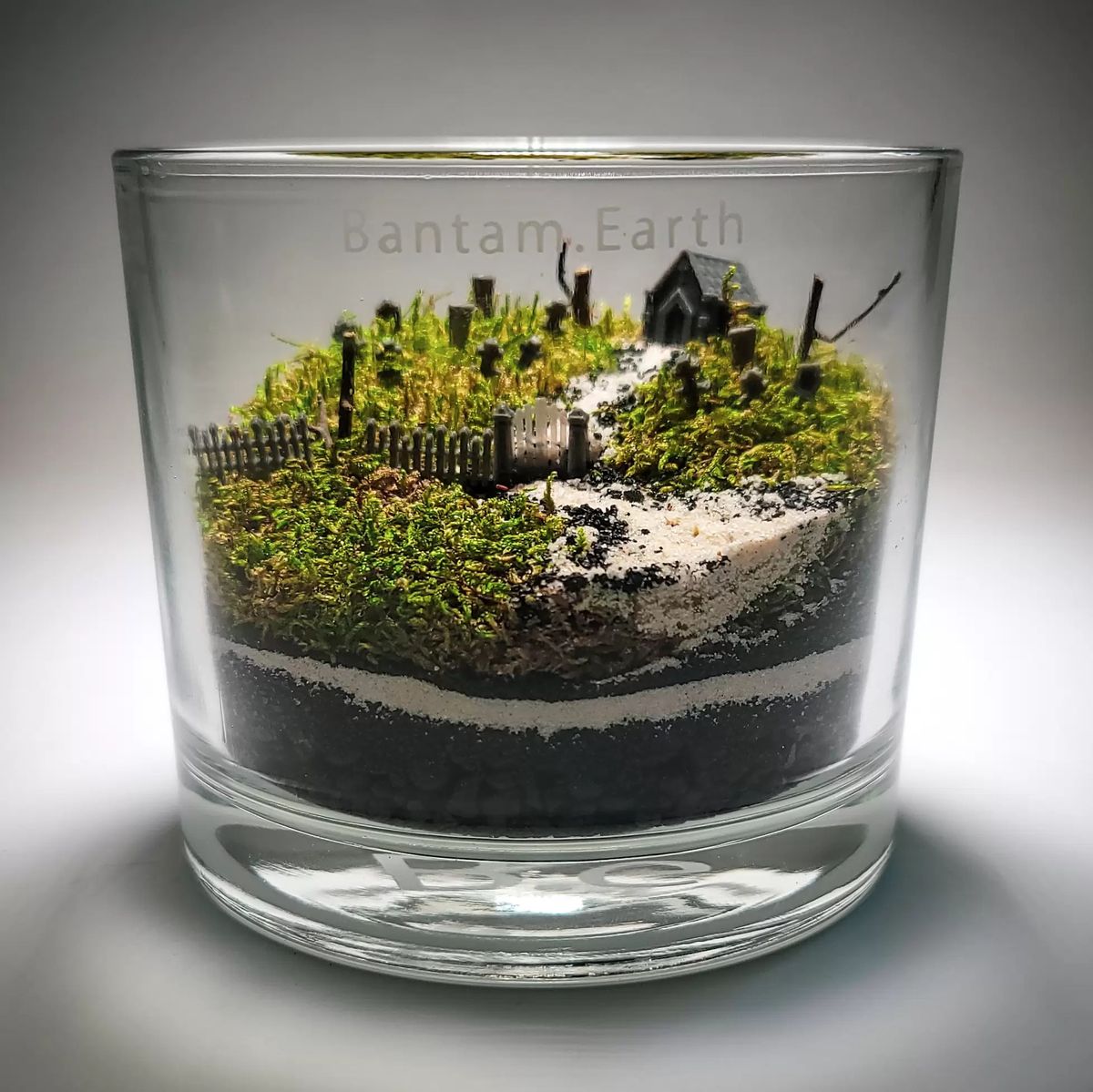 Terrarium bị vàng lá | Có phải do chọn sai cây?