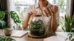 Terrarium Có Dễ Chăm Sóc Không? Bí Mật Đằng Sau Hệ Sinh Thái Tự Duy Trì