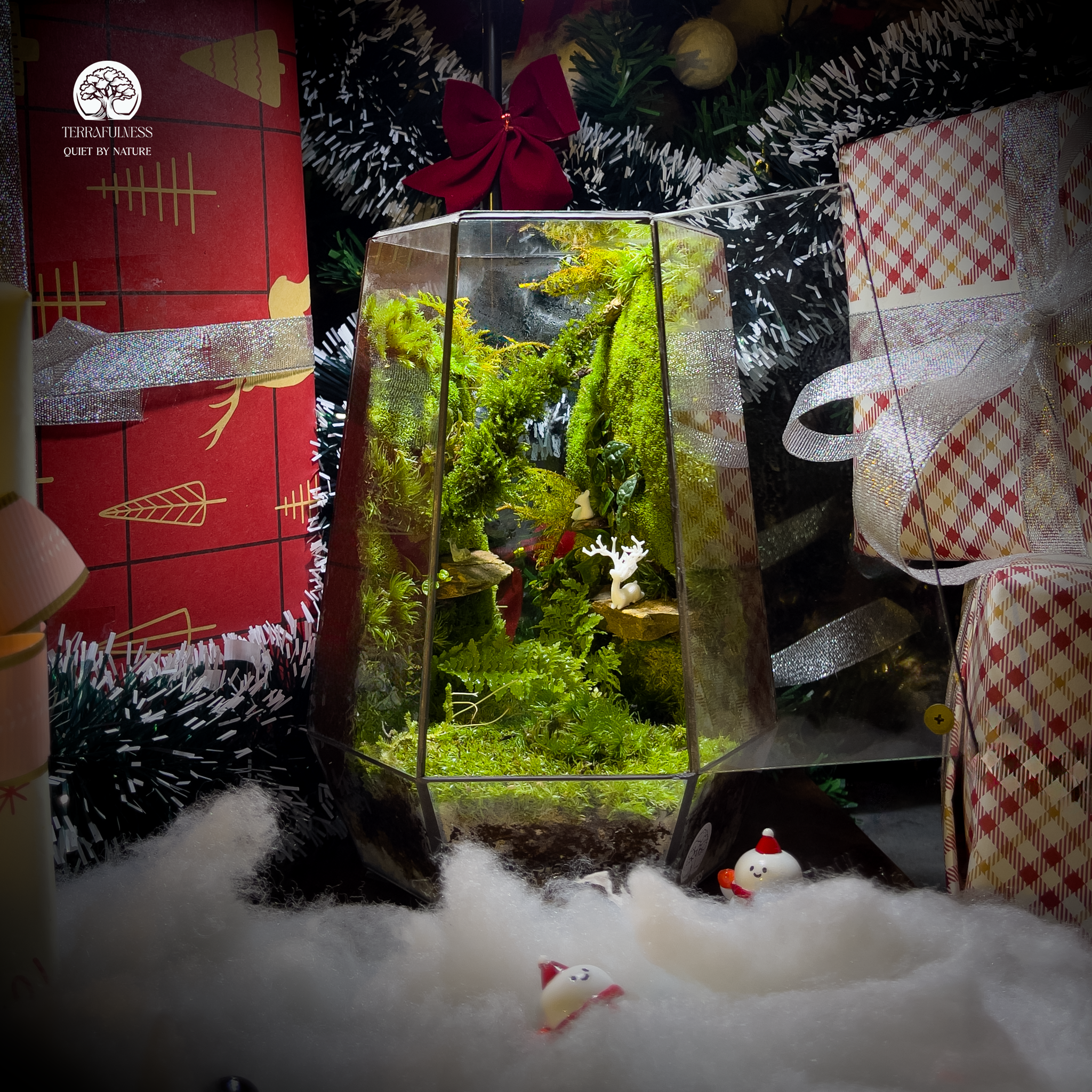 Cách Chăm Terrarium Đơn Giản Cho Người Mới Bắt Đầu