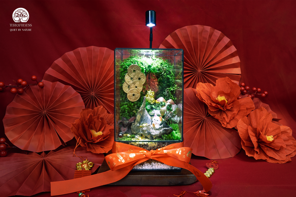 Quà Tết Sang Trọng & Tinh Tế - Khi Terrarium Trở Thành Lời Chúc Đầu Xuân Đặc Biệt
