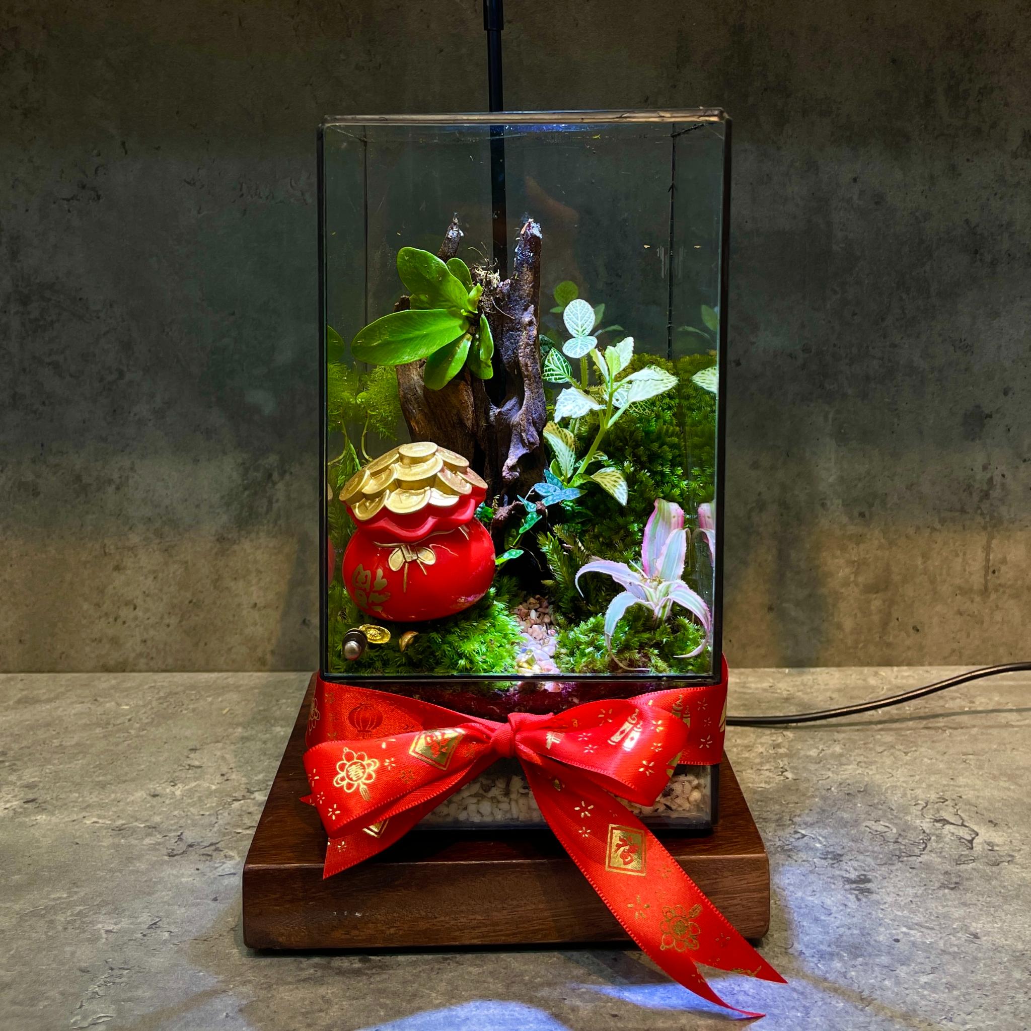 Cây Tết Trong Bình Kính – Món Quà Xanh Gửi Trọn Bình An Xuân 2026