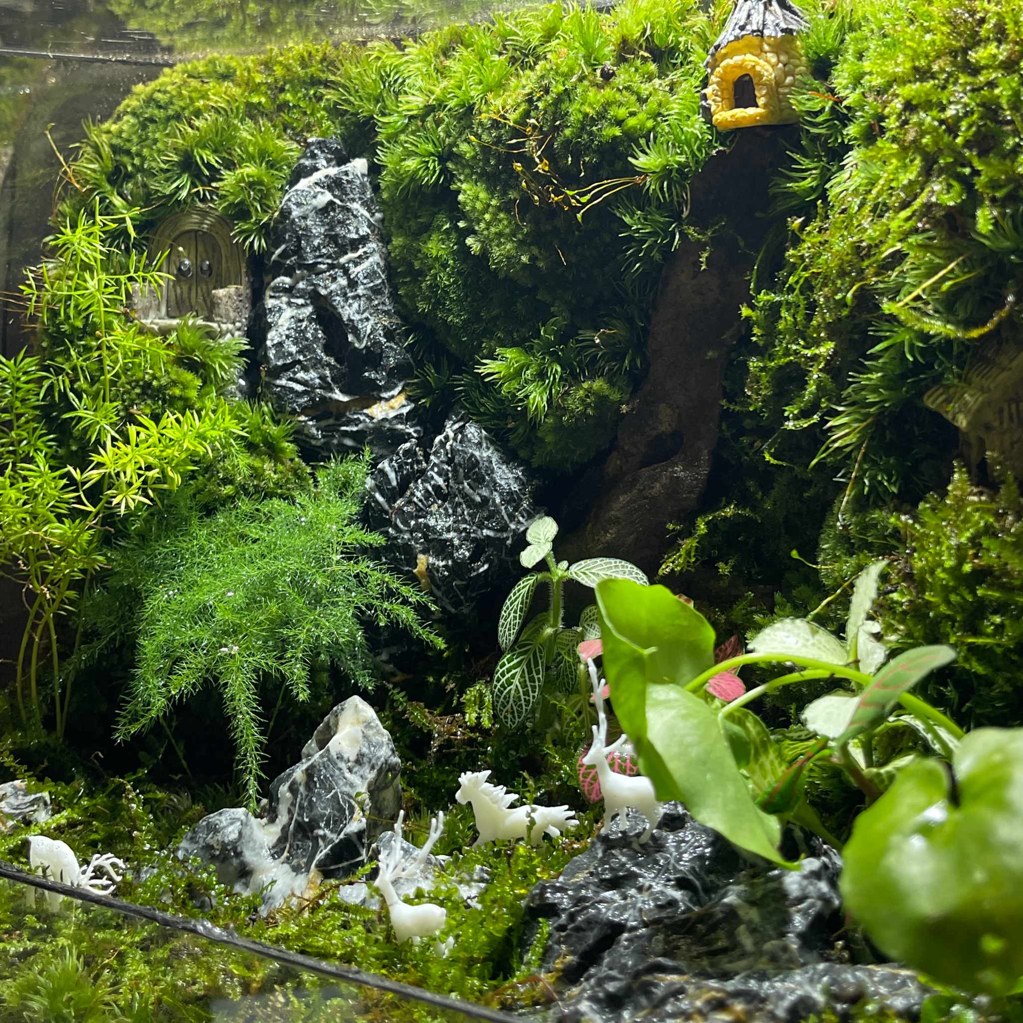 Món Quà Lưu Giữ Ký Ức: Terrarium Và Nghệ Thuật Đóng Khung Thời Gian