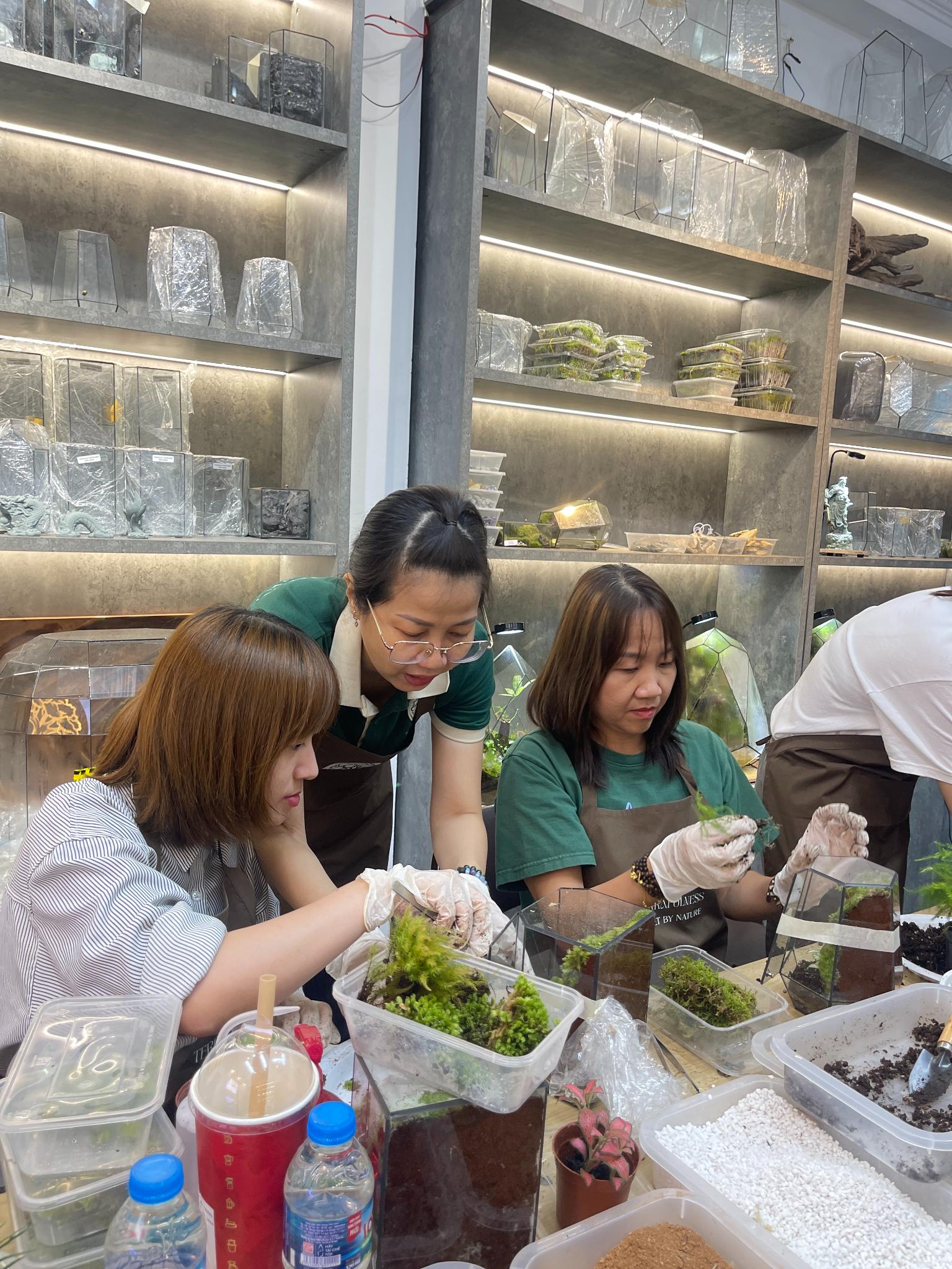 Từ Workshop Đến Góc Làm Việc: Terrarium - Người Bạn Nhỏ Khiến Không Gian Làm Việc “Biết Thở”