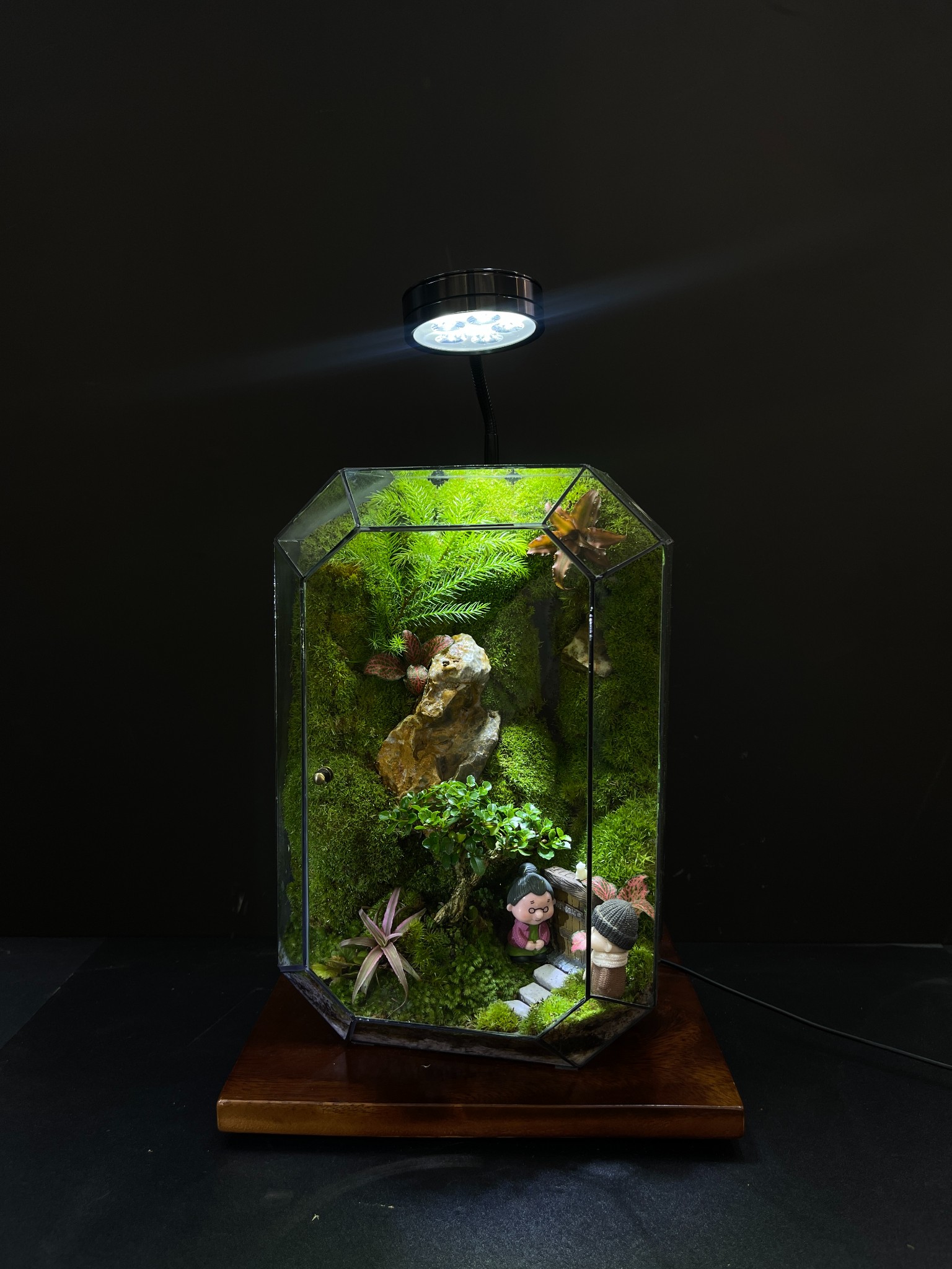 Tết – Terrarium Chứa Đựng Ý Nghĩa Sum Họp Và Bình An