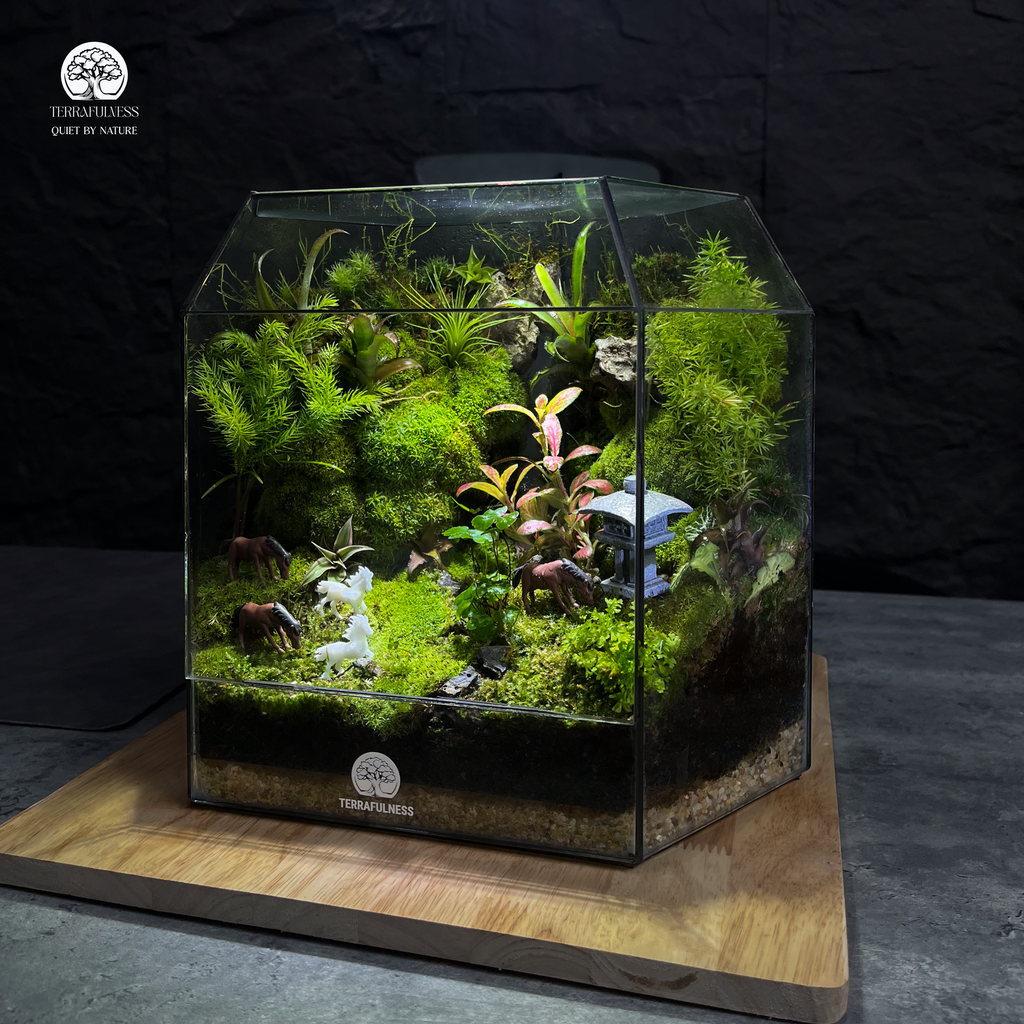 Terrarium Handmade Món Quà Lễ Hội Độc Đáo, Gửi Gắm Tình Yêu Thương Terrafulness