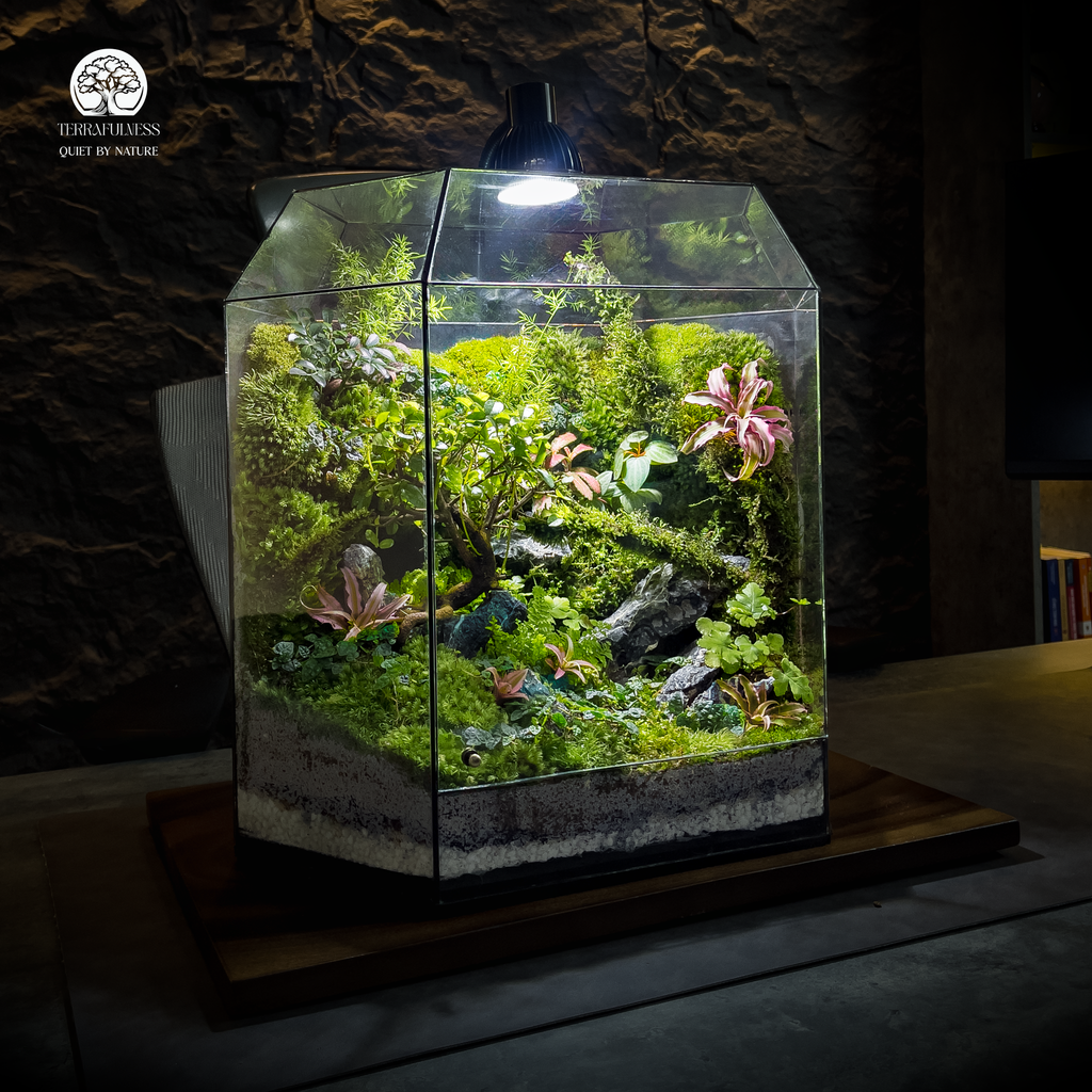 Quà Tặng Tết Tinh Tế Với Terrarium - Terrafulness