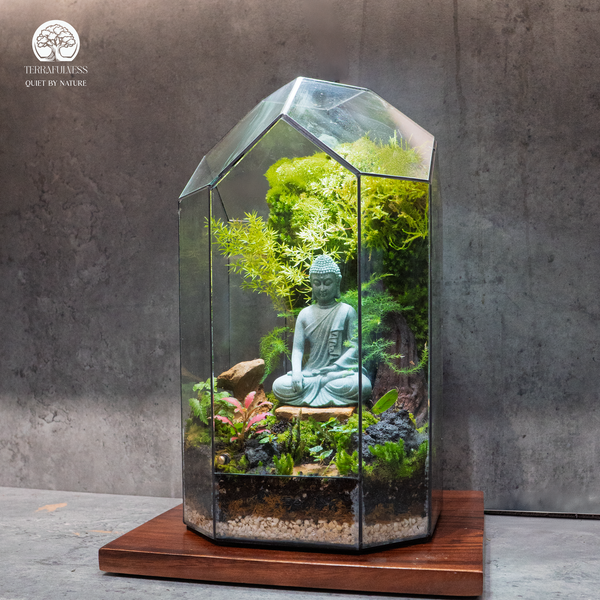 5 Sai Lầm Phổ Biến Khiến Terrarium Văn Phòng Nhanh Hỏng Và Cách Khắc Phục