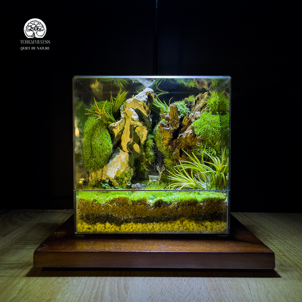 Món Quà Xanh Cho Người Bạn Chuyển Công Tác | Terrarium Để Lại Ký Ức Đẹp